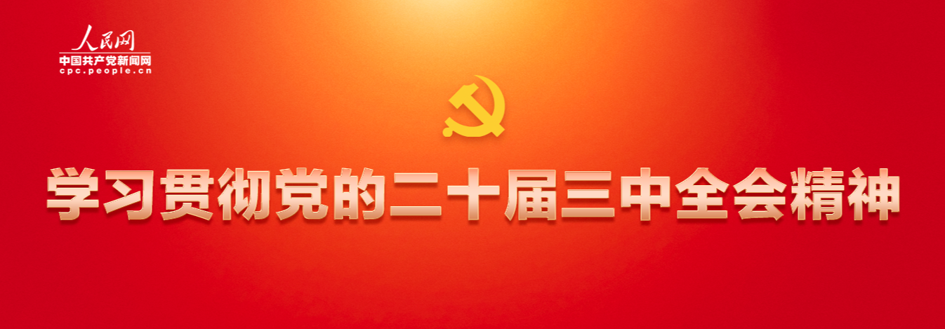学习贯彻党的二十届三中全会精神